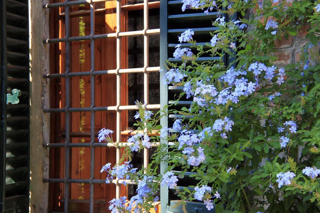 Bed and Breakfast Antica Casa "Le Rondini" Борго-а-Буджано Экстерьер фото